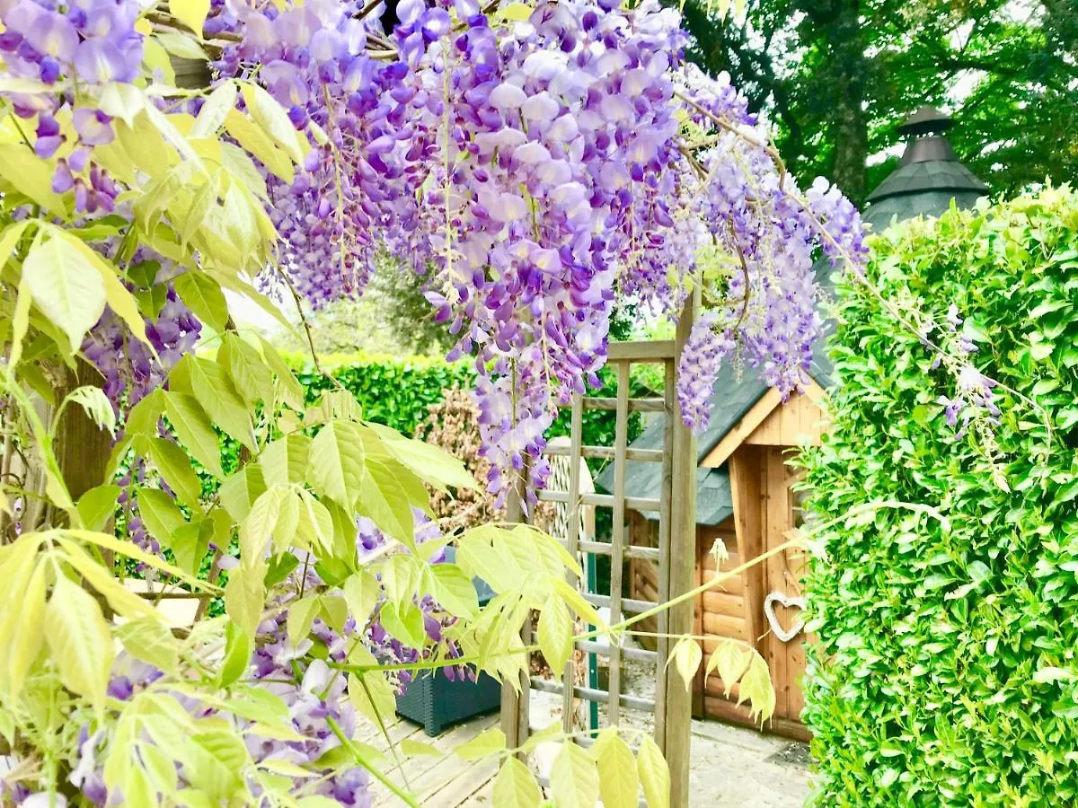 Le Relais Des Anges Bed & Breakfast Mercues