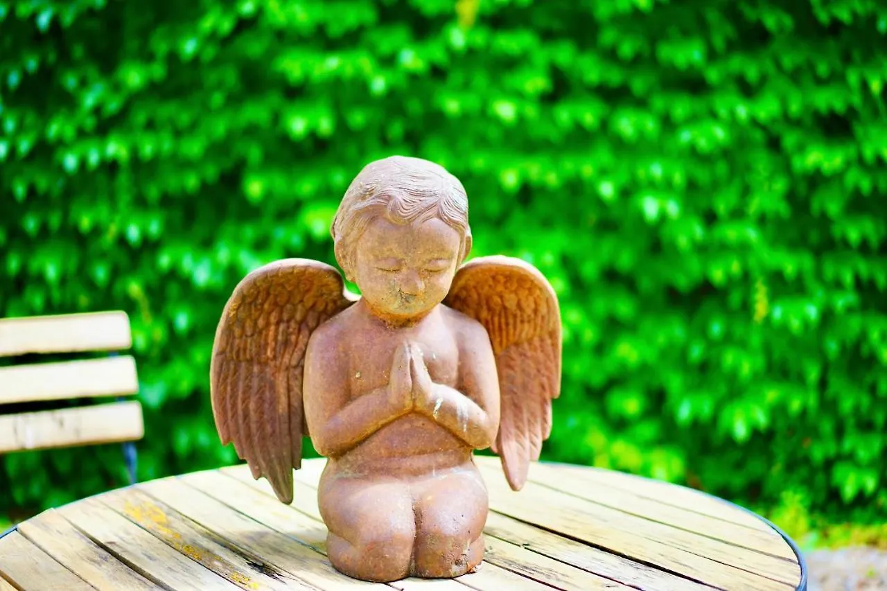 Le Relais Des Anges Bed & Breakfast Mercues France